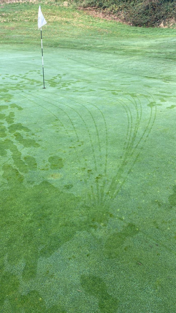 Na twaalf pogingen - Blog