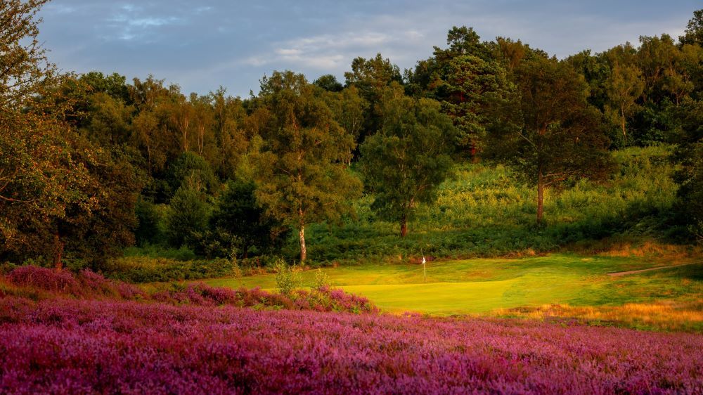 Iets voor bunkerhaters - Blog