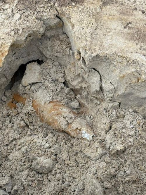 Een knal op Royal Liverpool - Blog