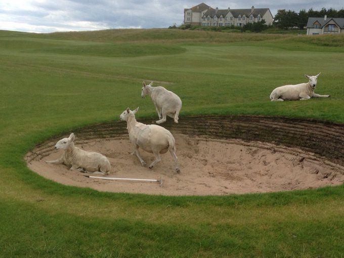 Outside agency? - Blog