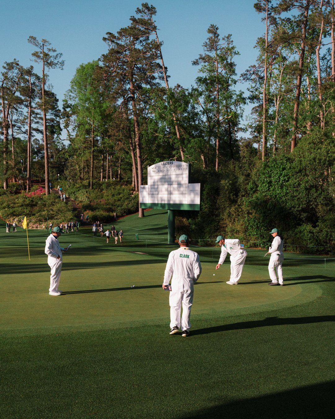 Caddies aan het werk - Internationaal - Blog