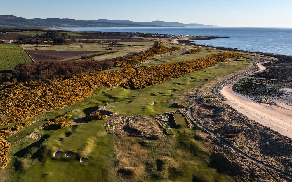 Gorse in een hoofdrol - Blog