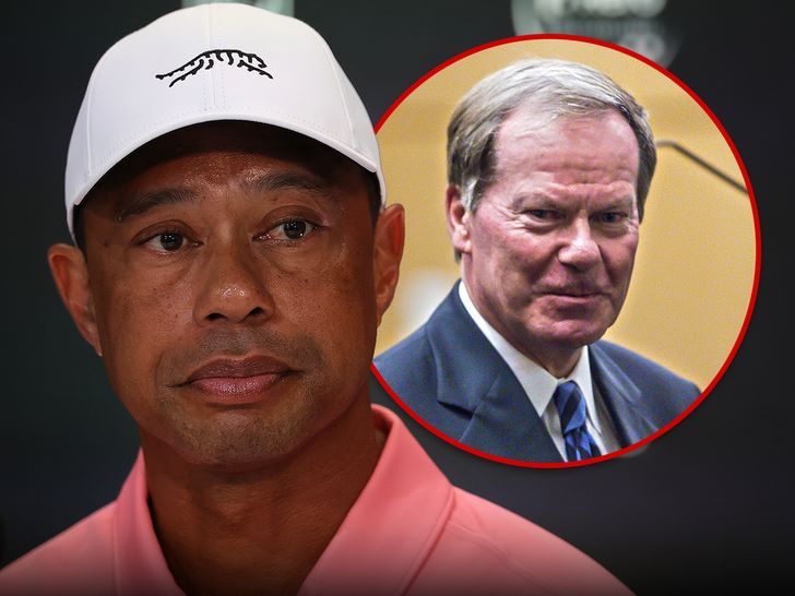 Advocaat weigert medicatie van Tiger Woods vrij te geven - Blog