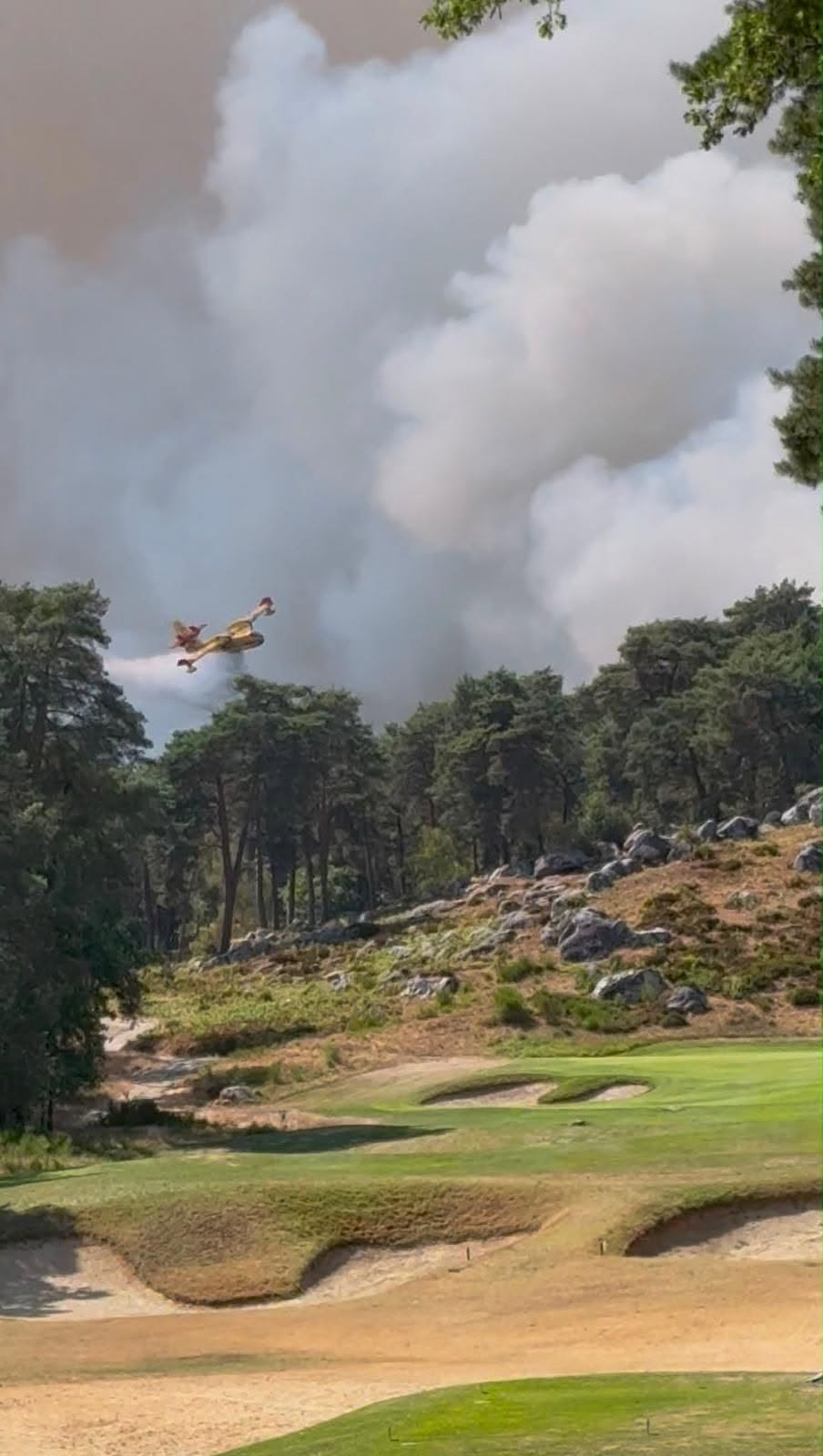  Golf de Fontainebleau gered - Blog