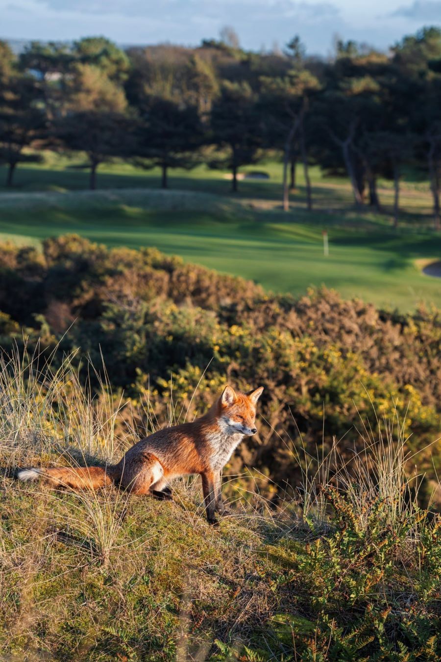 Aandachtige toeschouwer - Blog