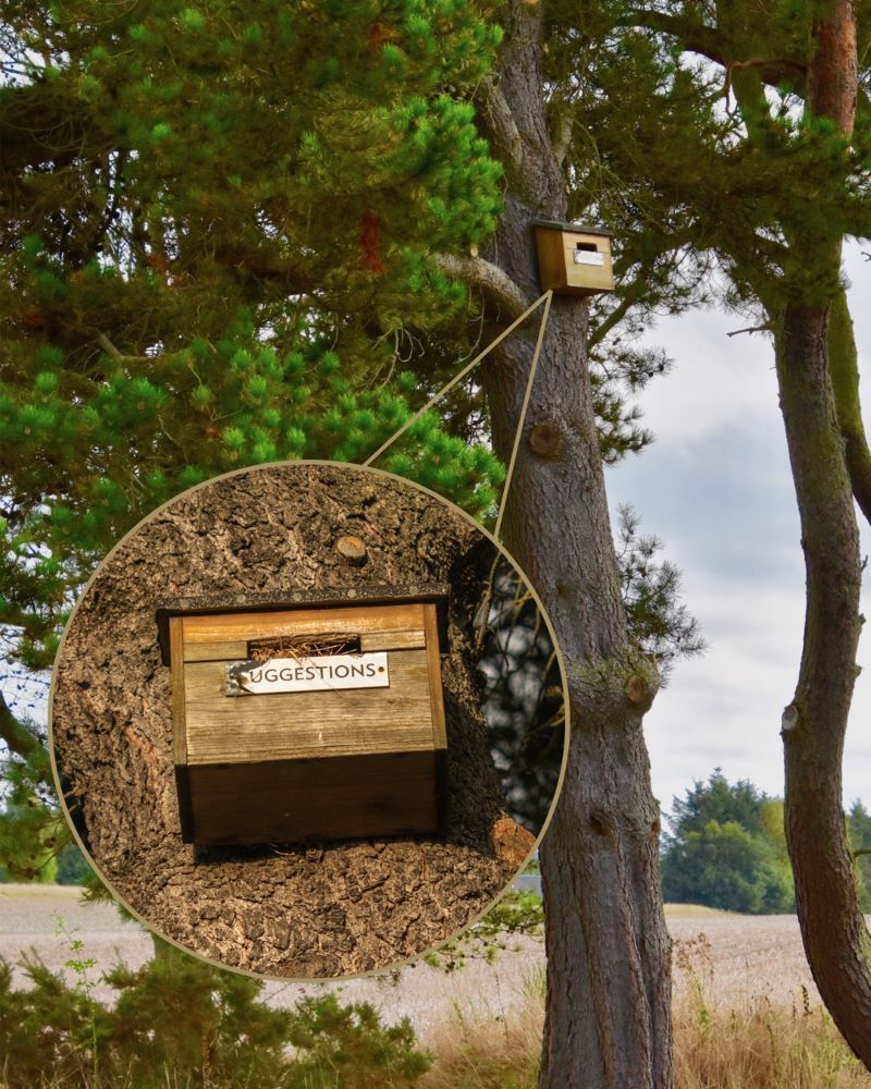 Ook Nairn Golf Links heeft een suggestions box - Blog