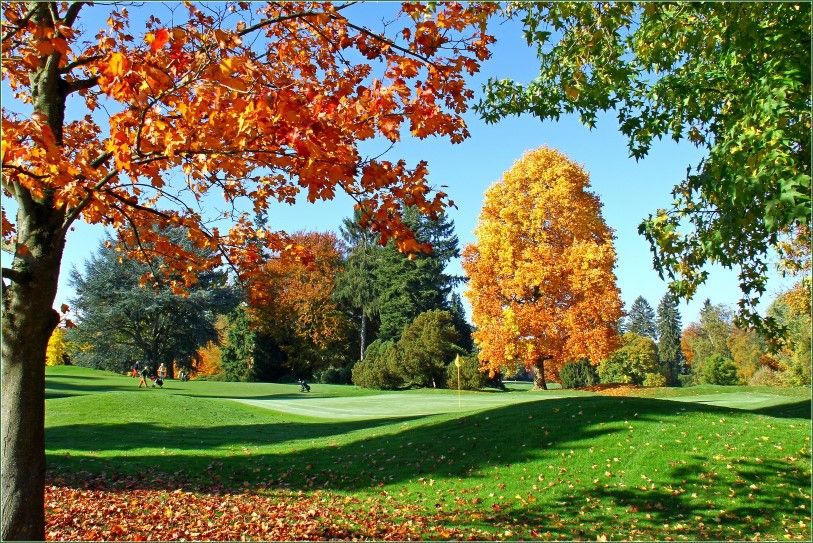 Is er in de herfst een mooiere golfbaan in België? 