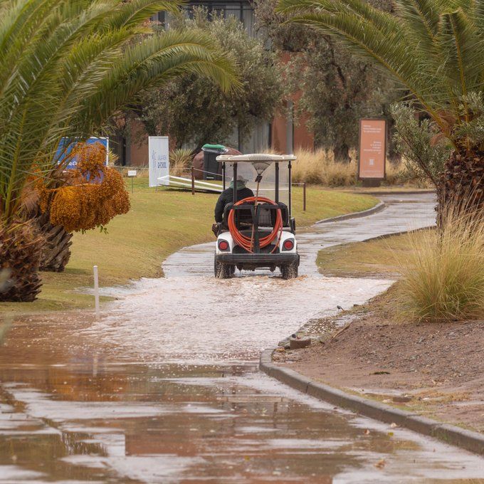 Regen houdt Sophie Bert en co binnen - Blog