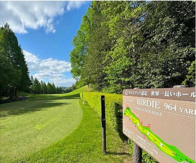 Het is wel een par 7 - Blog