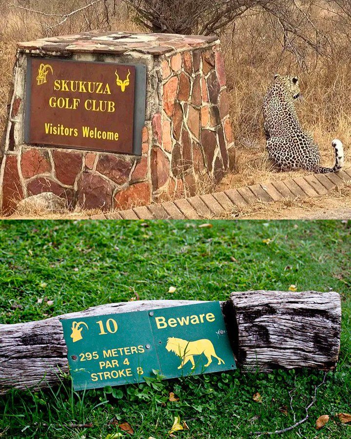 Geen schrik hebben…