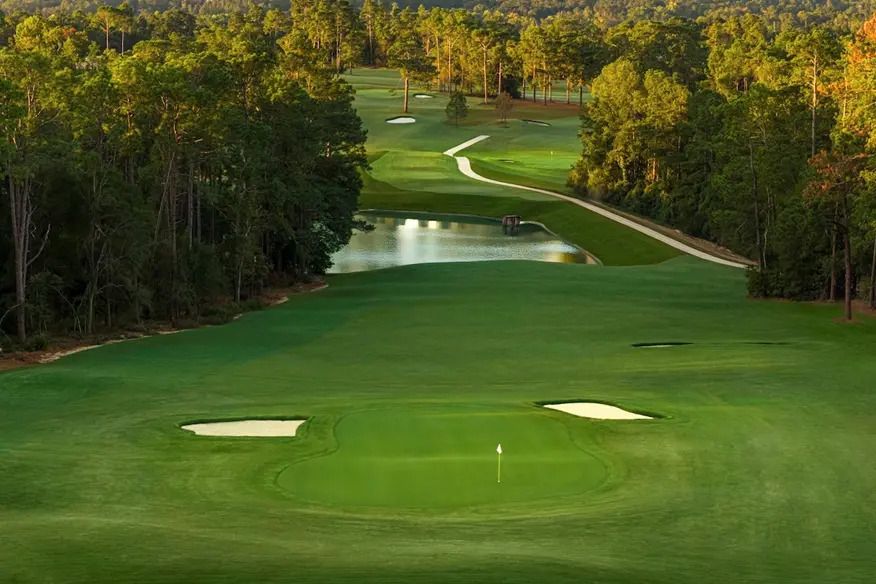  Een Tiger Woods-baan spelen voor 25 dollar  - Blog