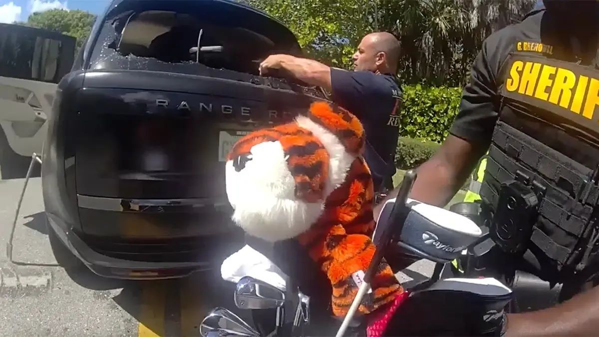  Rob McNamara was meteen ter plaatse - Blog