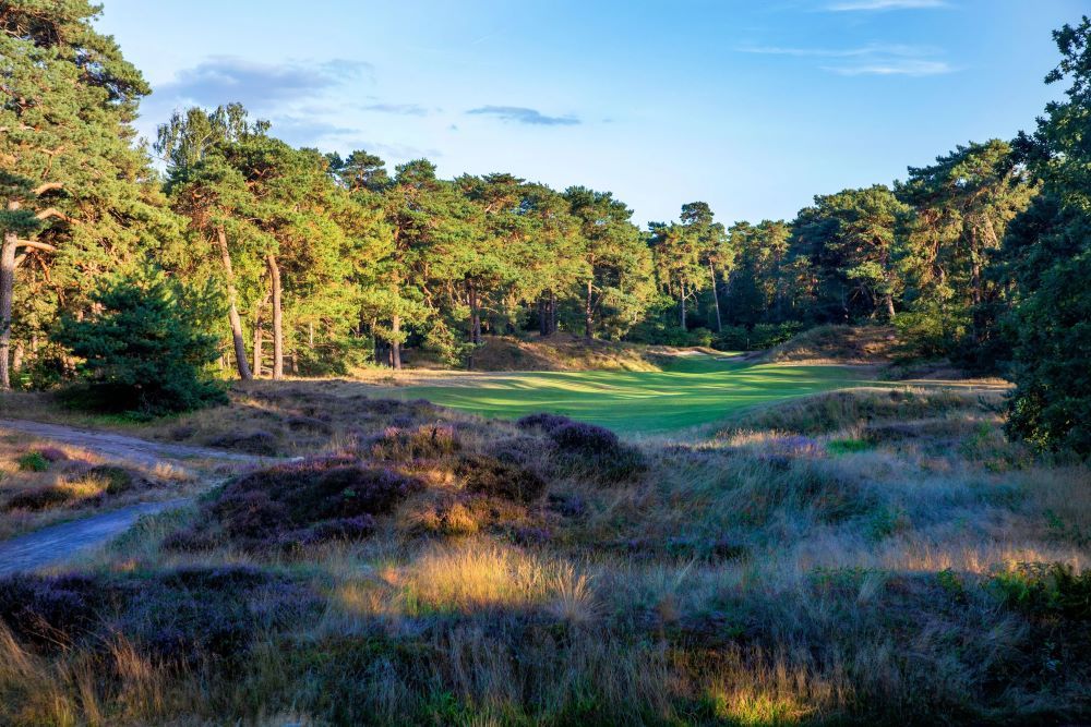 Top 100 Golf Courses vouwt Nederlandse golfbanentop uit - Blog