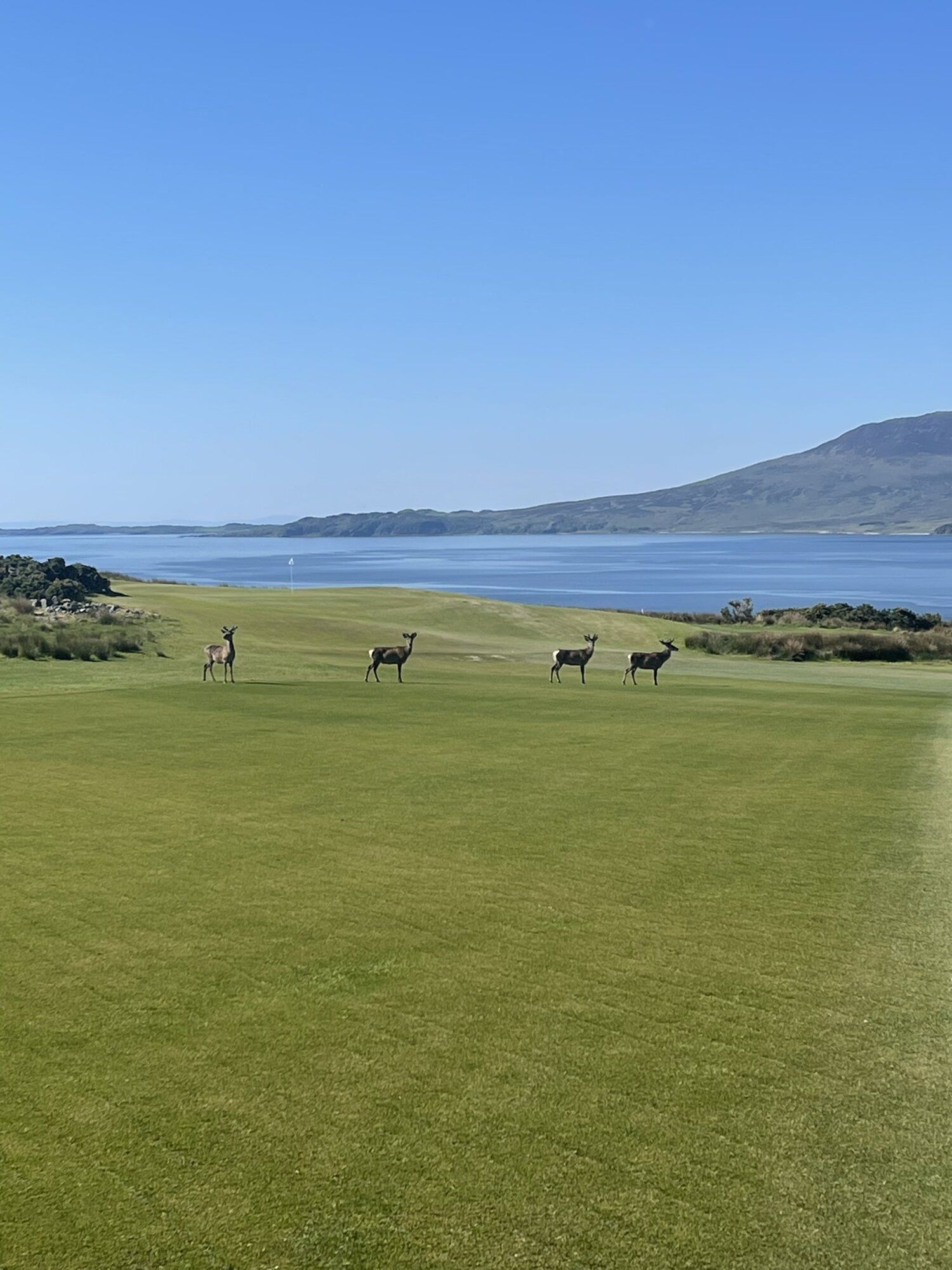 “Weinig golfers vandaag…” - Blog