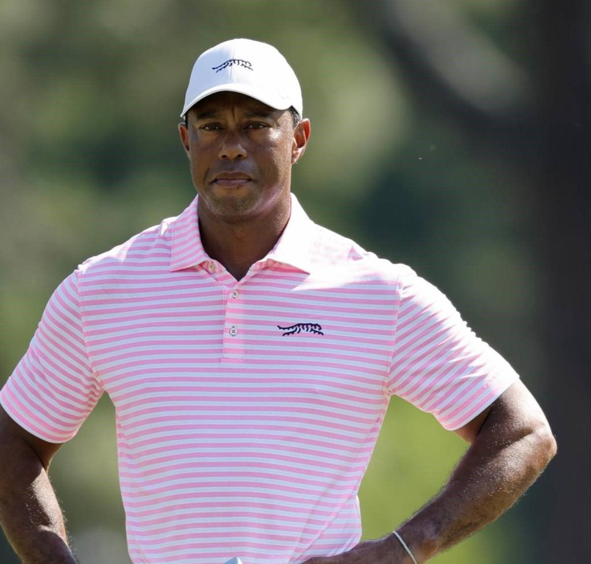 Tiger Woods blijft hét rolmodel - Blog