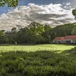 Le Top 100 Golf Courses place le Royal Antwerp en tête