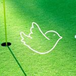 Hoeveel birdies per ronde?