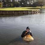 Als je je zou afvragen…? 