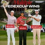 Rory topt in FedExCups zowel Tiger als Scottie