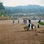 Handwerk, maar ook soms dynamiet 