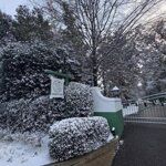 Winterprik op Augusta National