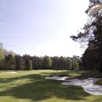 Backspin Best of Belgium: 2. Royal Antwerp