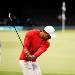 Tiger sloeg wedges op TGL